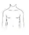 Average shoulders