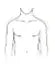 Narrower shoulders