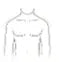 Broader shoulders